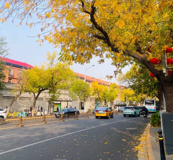 钱北京五天四晚旅游景点推荐及攻略分享米乐体育app网站北京参团5日游多少(图2)