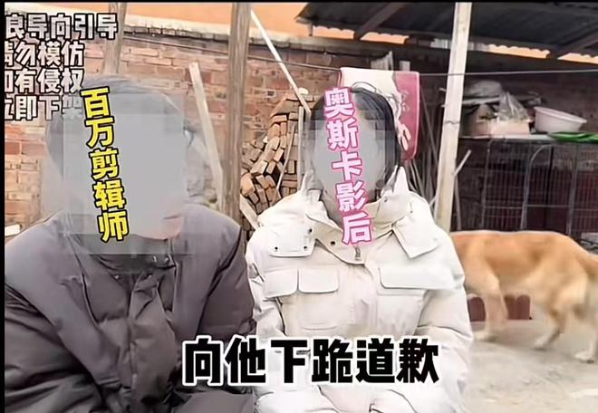 ：夫妻俩撒谎是不对但也不建议大家开超市米乐体育M6直播平台大V评亮亮丽君事件(图1)
